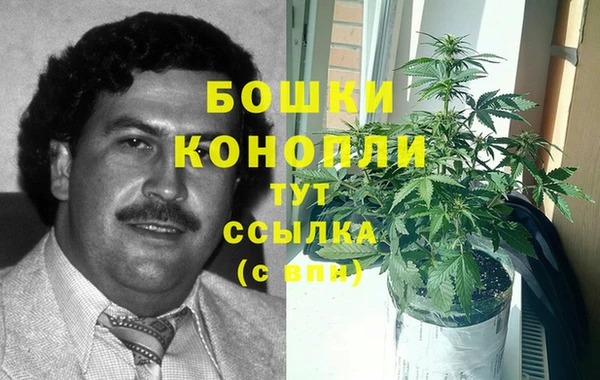 крисы Вяземский